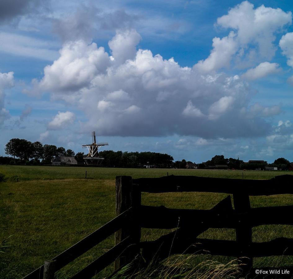 The Wee White Hoose Bed & Breakfast Oosternijkerk ภายนอก รูปภาพ
