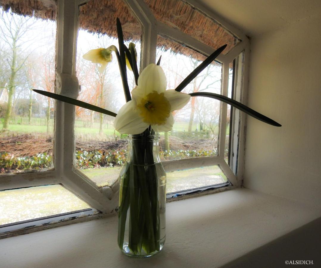 The Wee White Hoose Bed & Breakfast Oosternijkerk ภายนอก รูปภาพ