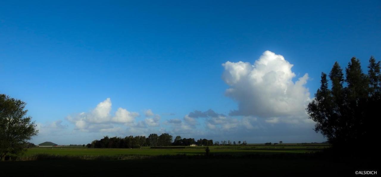 The Wee White Hoose Bed & Breakfast Oosternijkerk ภายนอก รูปภาพ