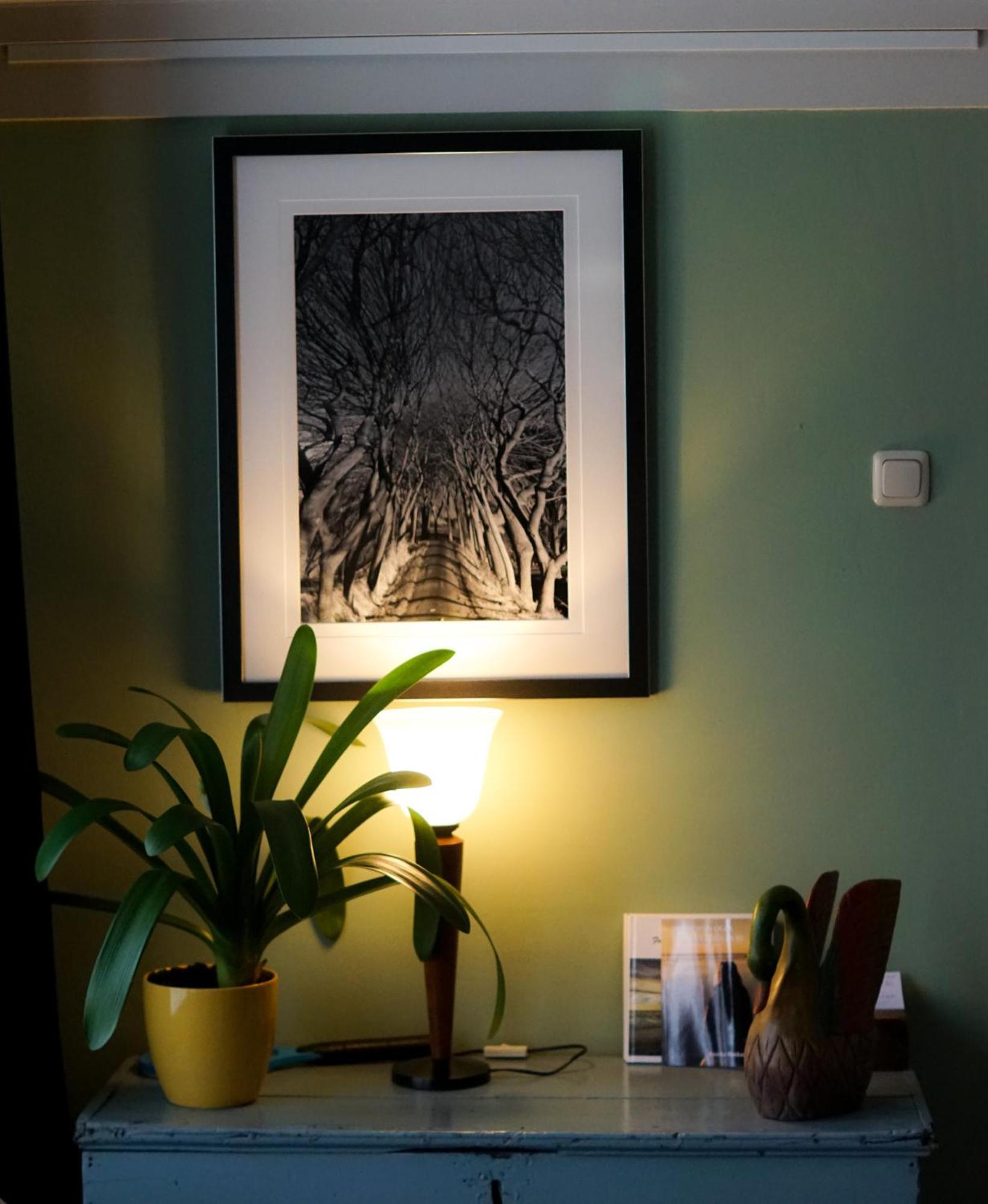 The Wee White Hoose Bed & Breakfast Oosternijkerk ภายนอก รูปภาพ