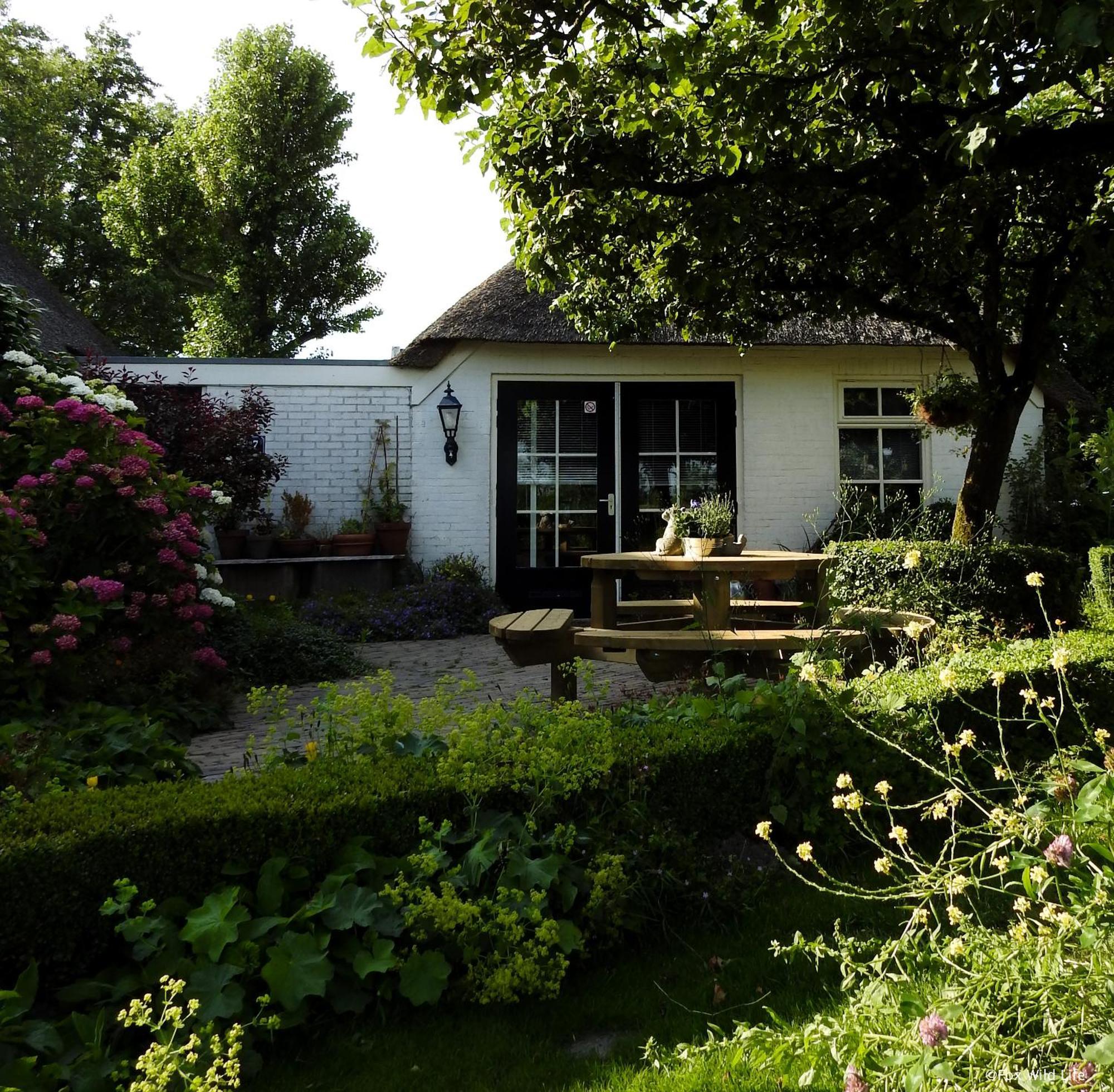 The Wee White Hoose Bed & Breakfast Oosternijkerk ภายนอก รูปภาพ