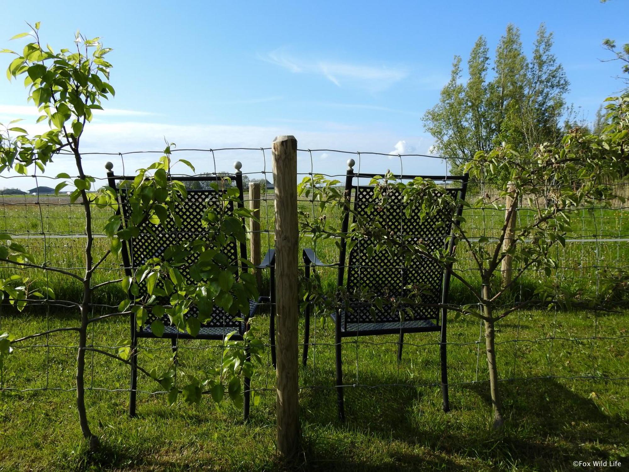 The Wee White Hoose Bed & Breakfast Oosternijkerk ภายนอก รูปภาพ