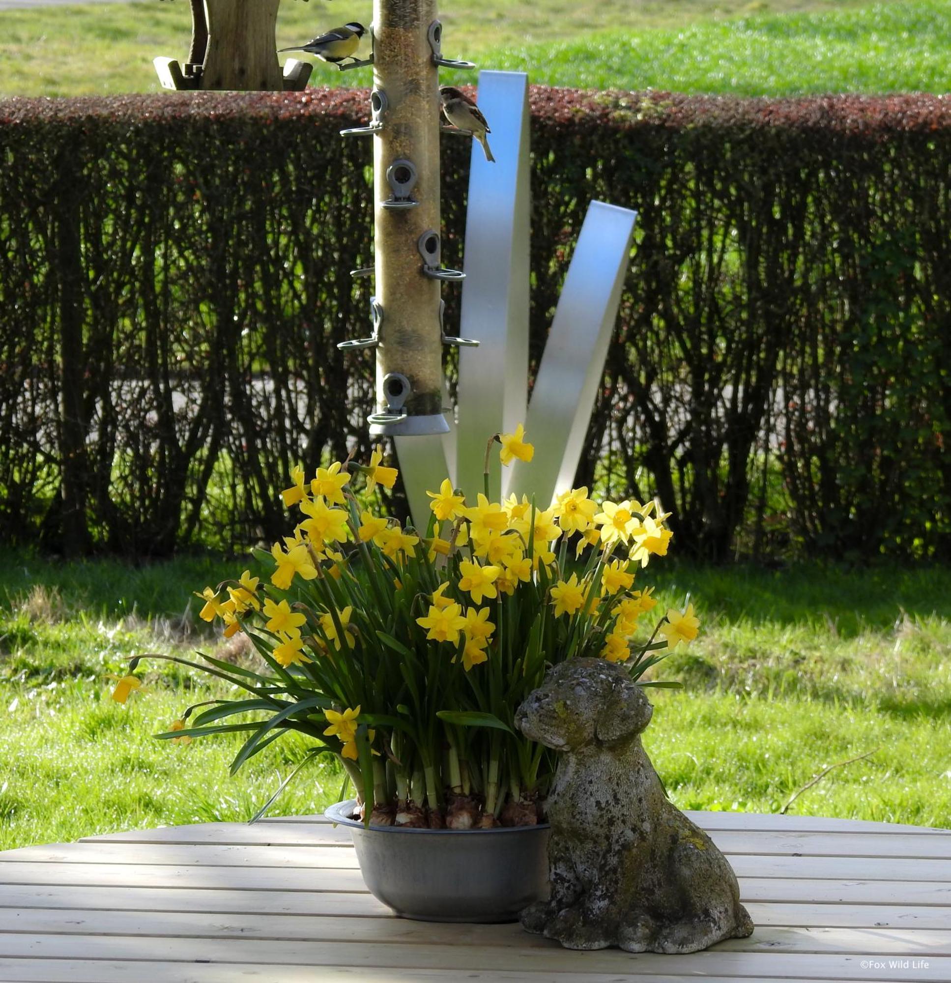 The Wee White Hoose Bed & Breakfast Oosternijkerk ภายนอก รูปภาพ