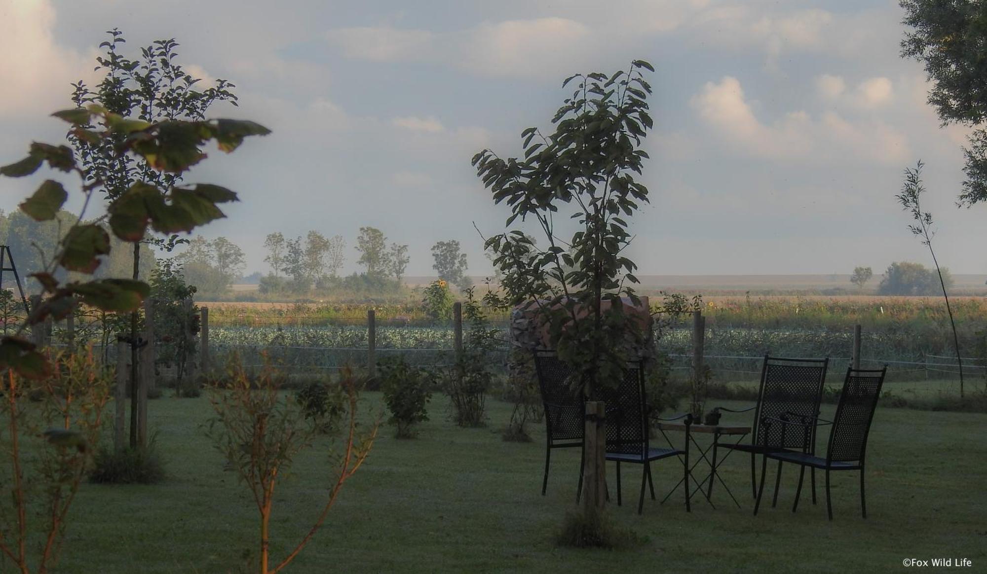 The Wee White Hoose Bed & Breakfast Oosternijkerk ภายนอก รูปภาพ